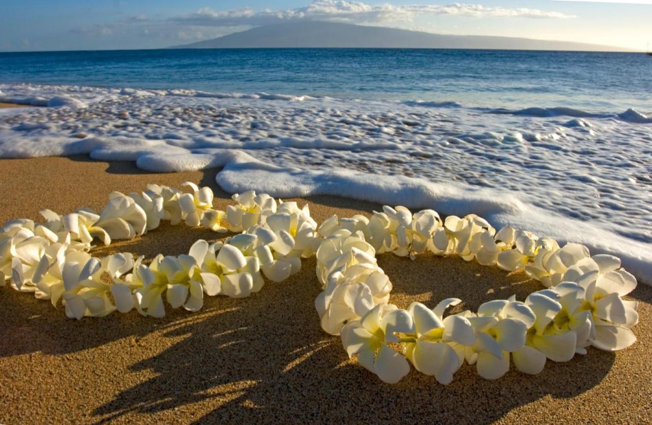 Diamond Head Views Retreat With Free Parking & Near Waikiki Beach! Honolulu Exteriér fotografie