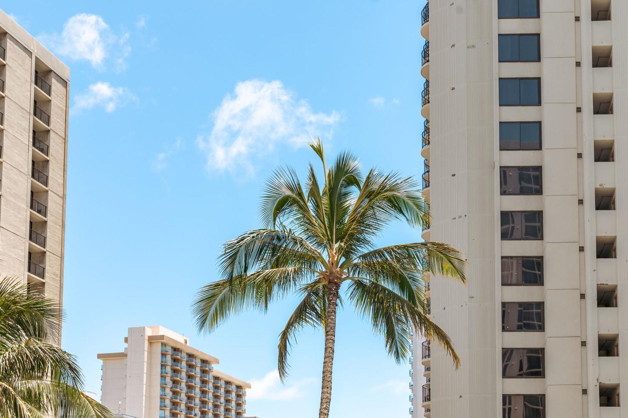 Diamond Head Views Retreat With Free Parking & Near Waikiki Beach! Honolulu Exteriér fotografie